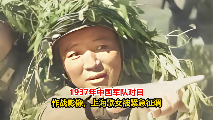 2025年新澳门正版免费资料2025澳门管家婆一肖一码,马航MH370搜索重启 家属发声,最新正品解答落实_权威版V8.39
